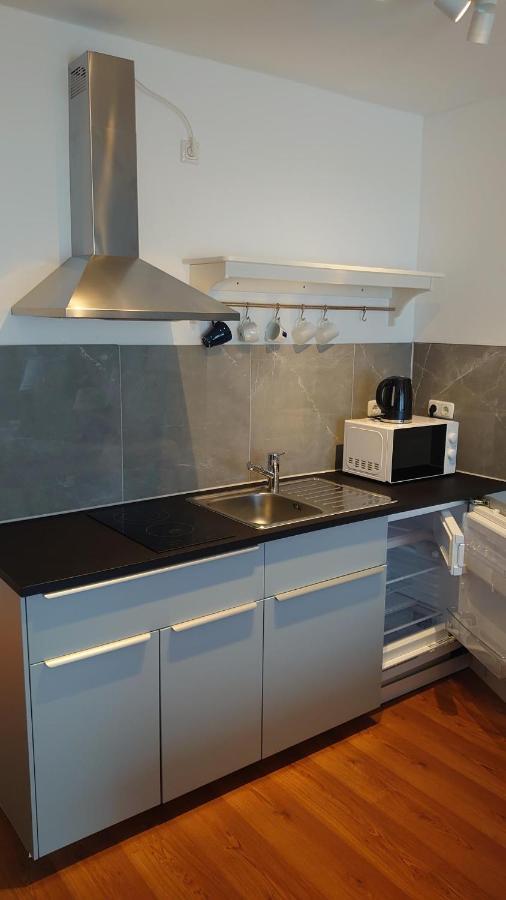 Maxim Apartments Майнц Екстериор снимка